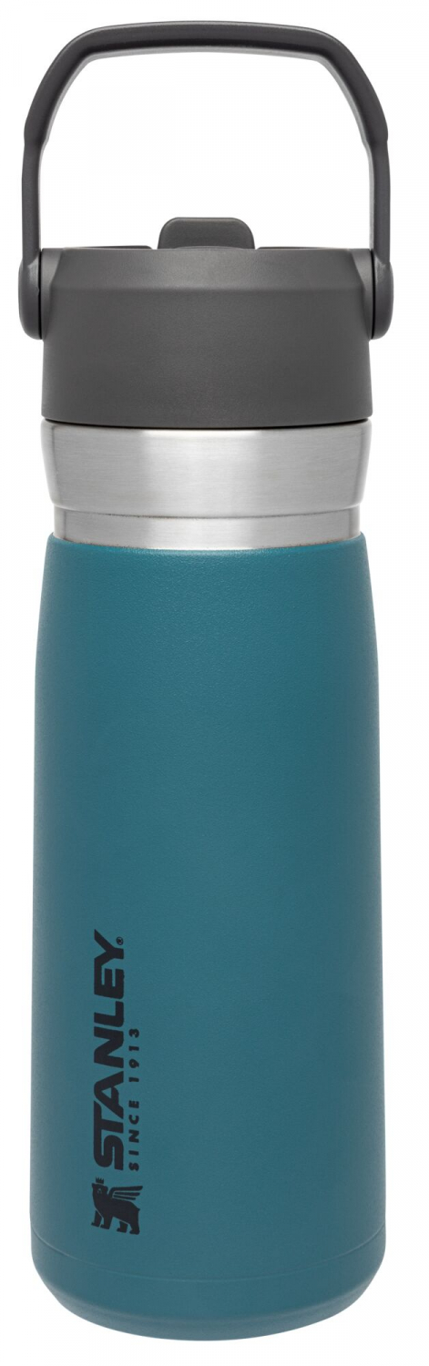the wild imagination iceflow ™ flip straw water bottle 17 oz